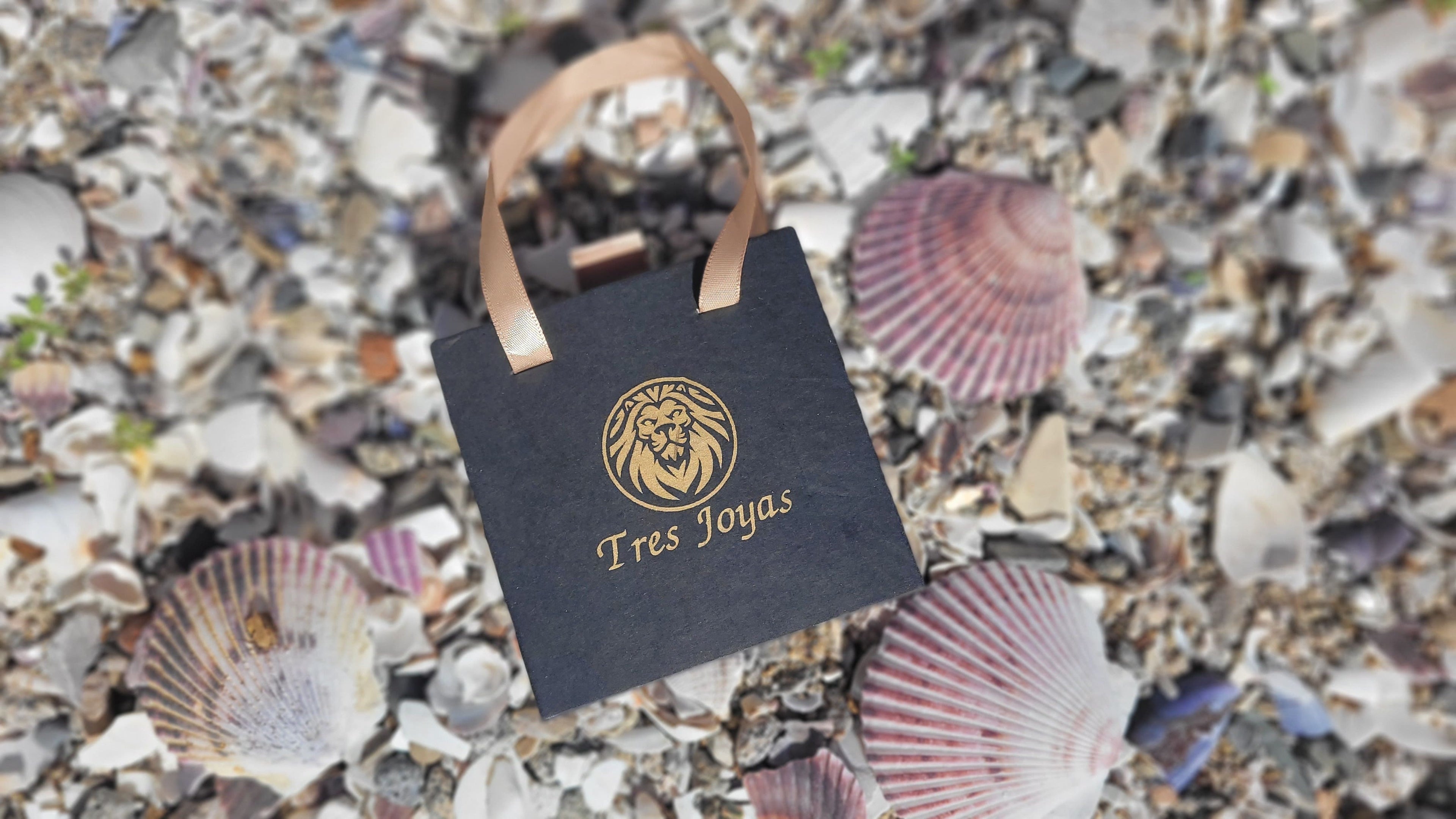 Packaging de tresjoyas, caja negra con manilla dorada y el logo impreso de un leon y tres joyas. 